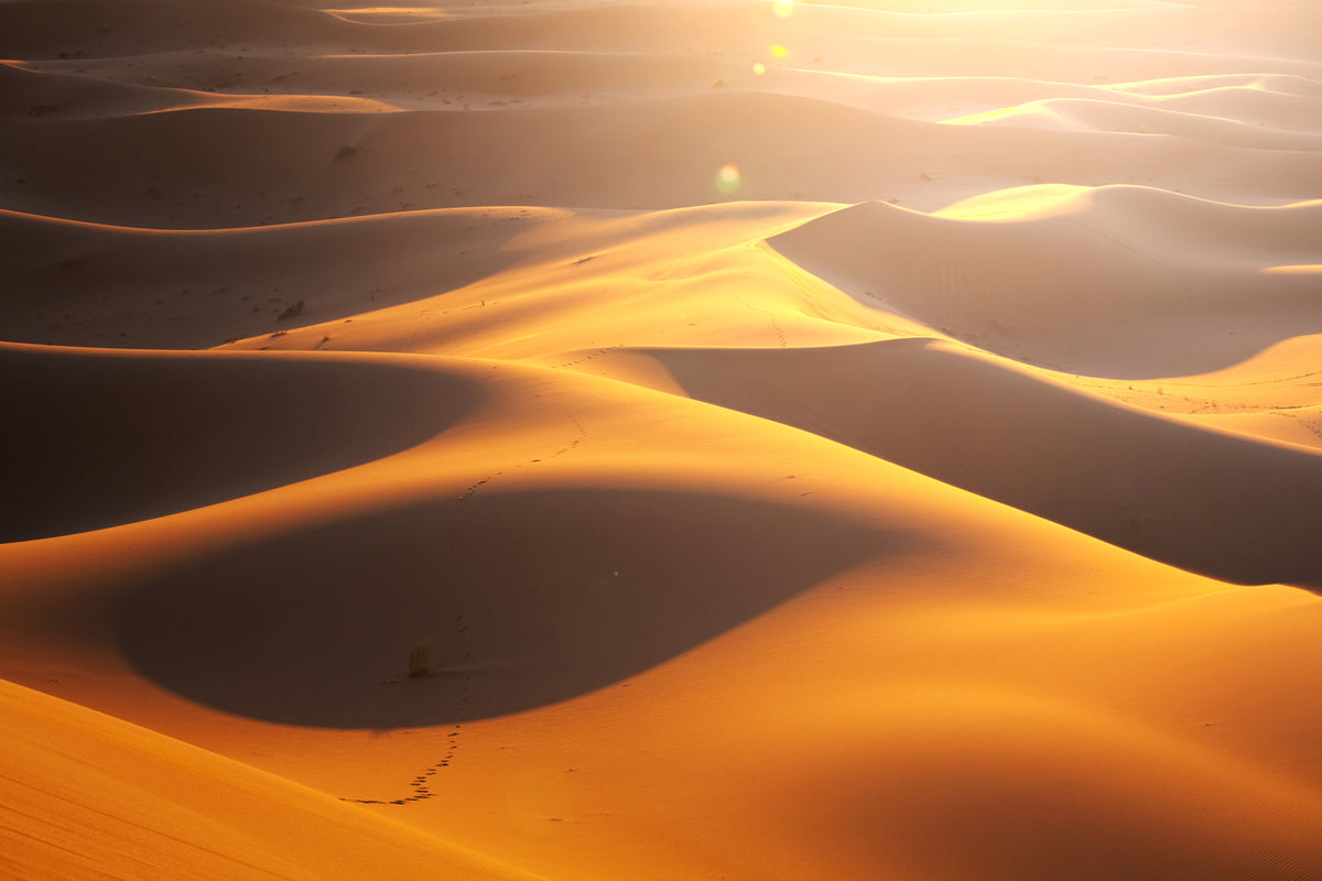 aluminium-print-wilderness-journey