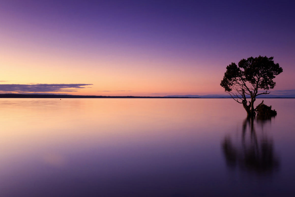 3-piece-aluminium-print-sunset-on-the-tree-in-the-water