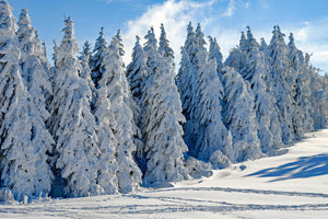 framedcanvas-print-beautiful-winter-landscape