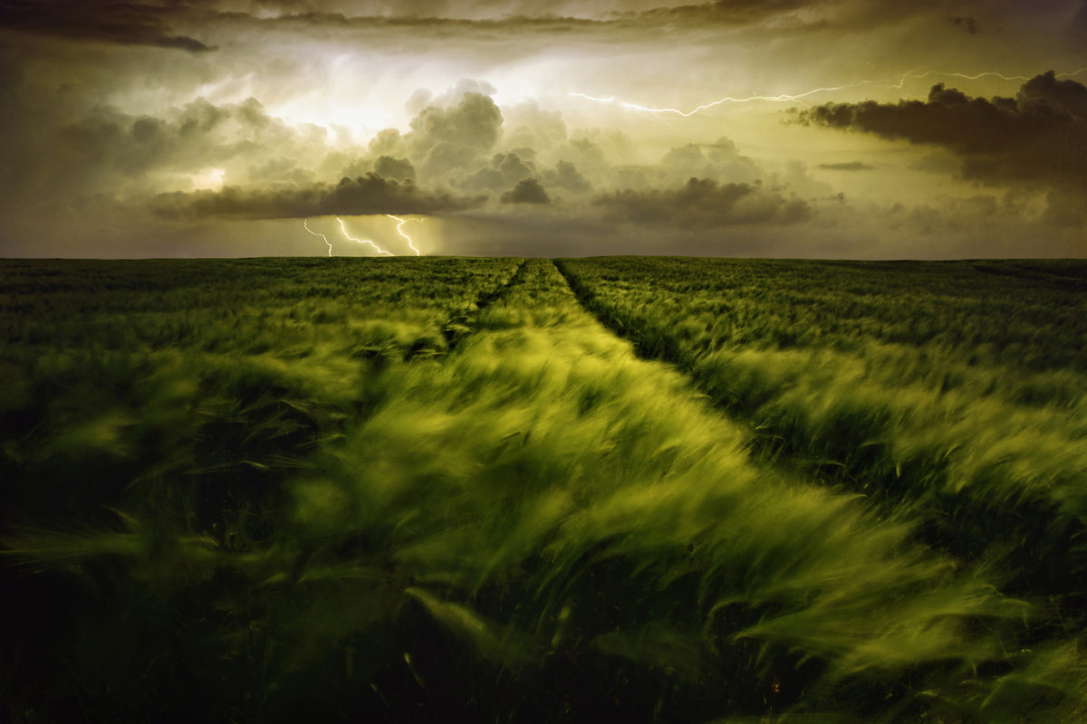 framedposter-print-journey-to-the-fierce-storm