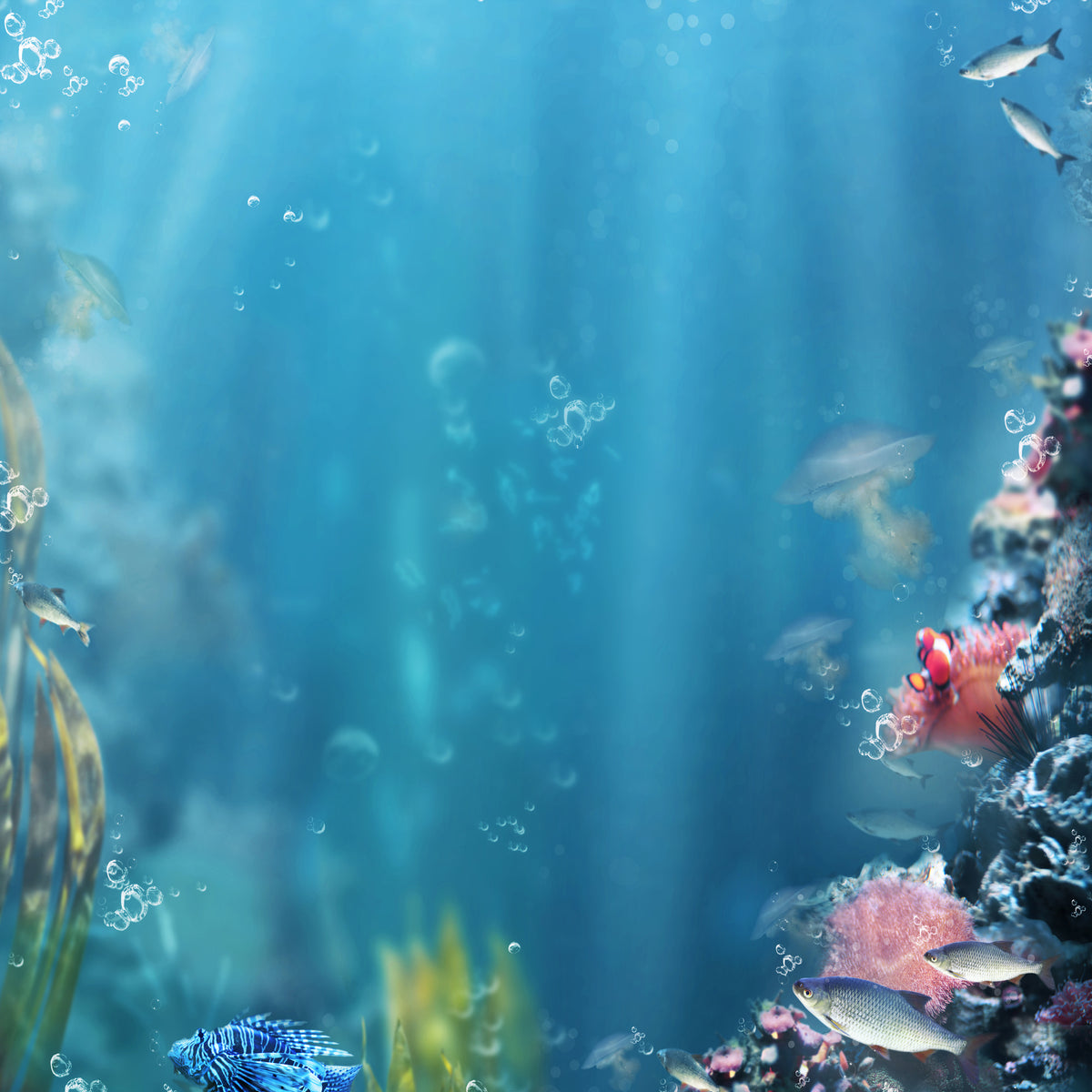 9-piece-aluminium-print-underwater