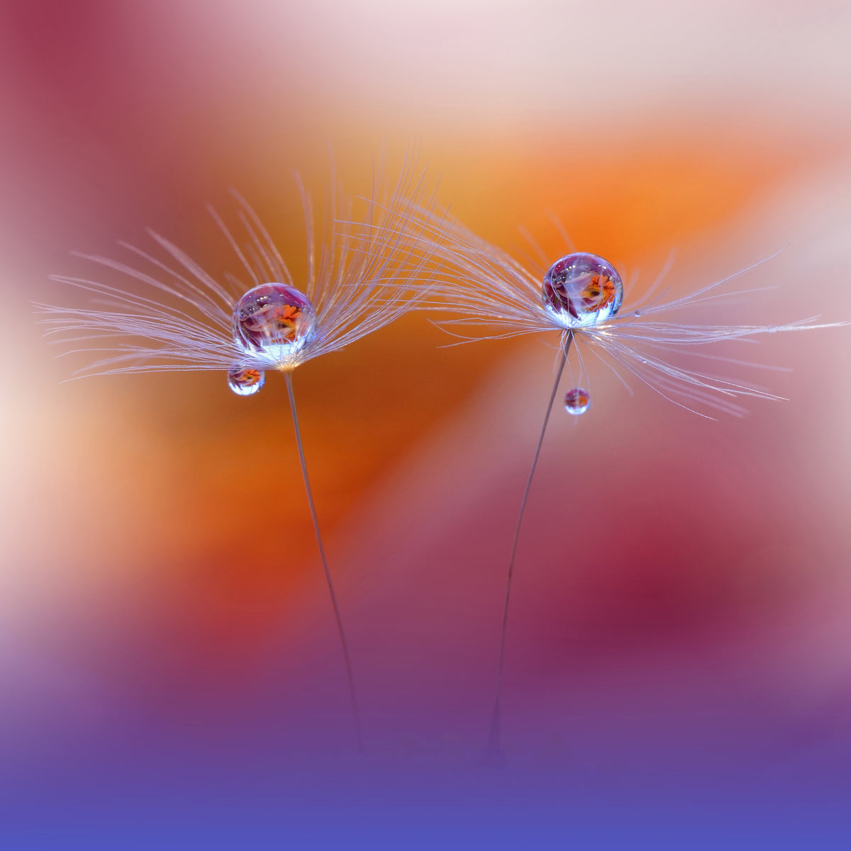 poster-print-two-worlds
