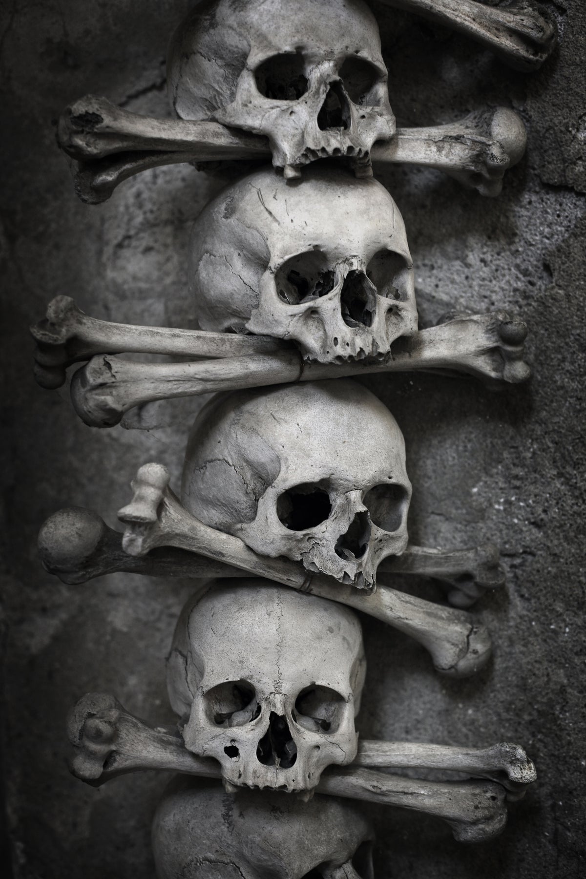 acrylic-print-skulls