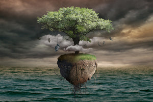 3-piece-aluminium-print-lonely-tree