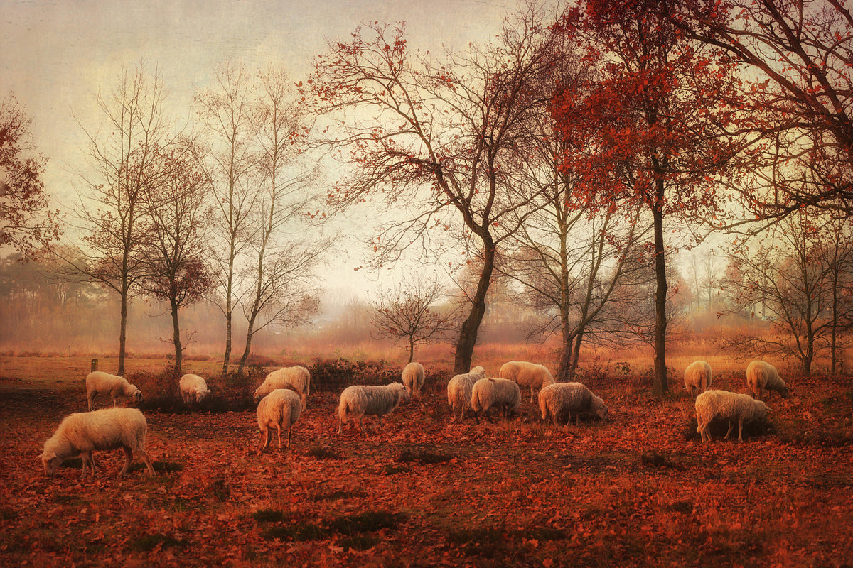 poster-print-last-days-of-autumn