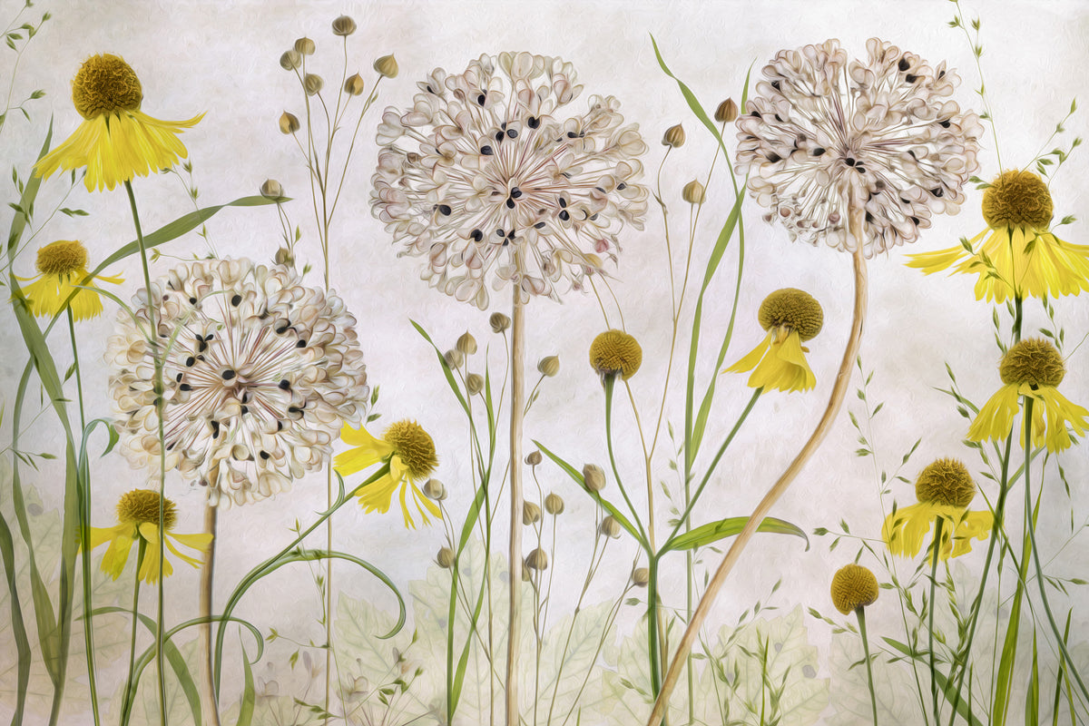 modern-3-piece-acrylic-print-alliums-and-heleniums
