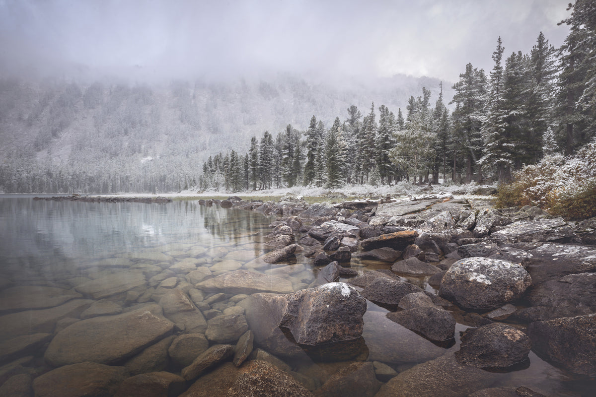 canvas-print-winter