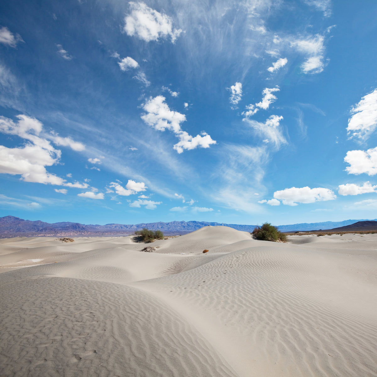 9-piece-acrylic-print-desert-landscape