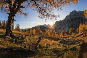 framedcanvas-print-autumn-paradise-x