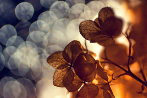 acrylic-print-bokeh-x