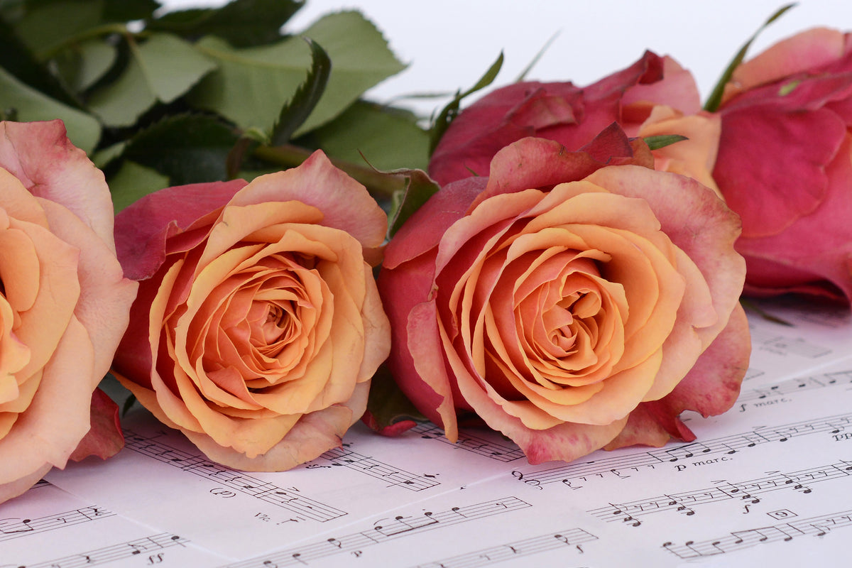 aluminium-print-notes-of-love