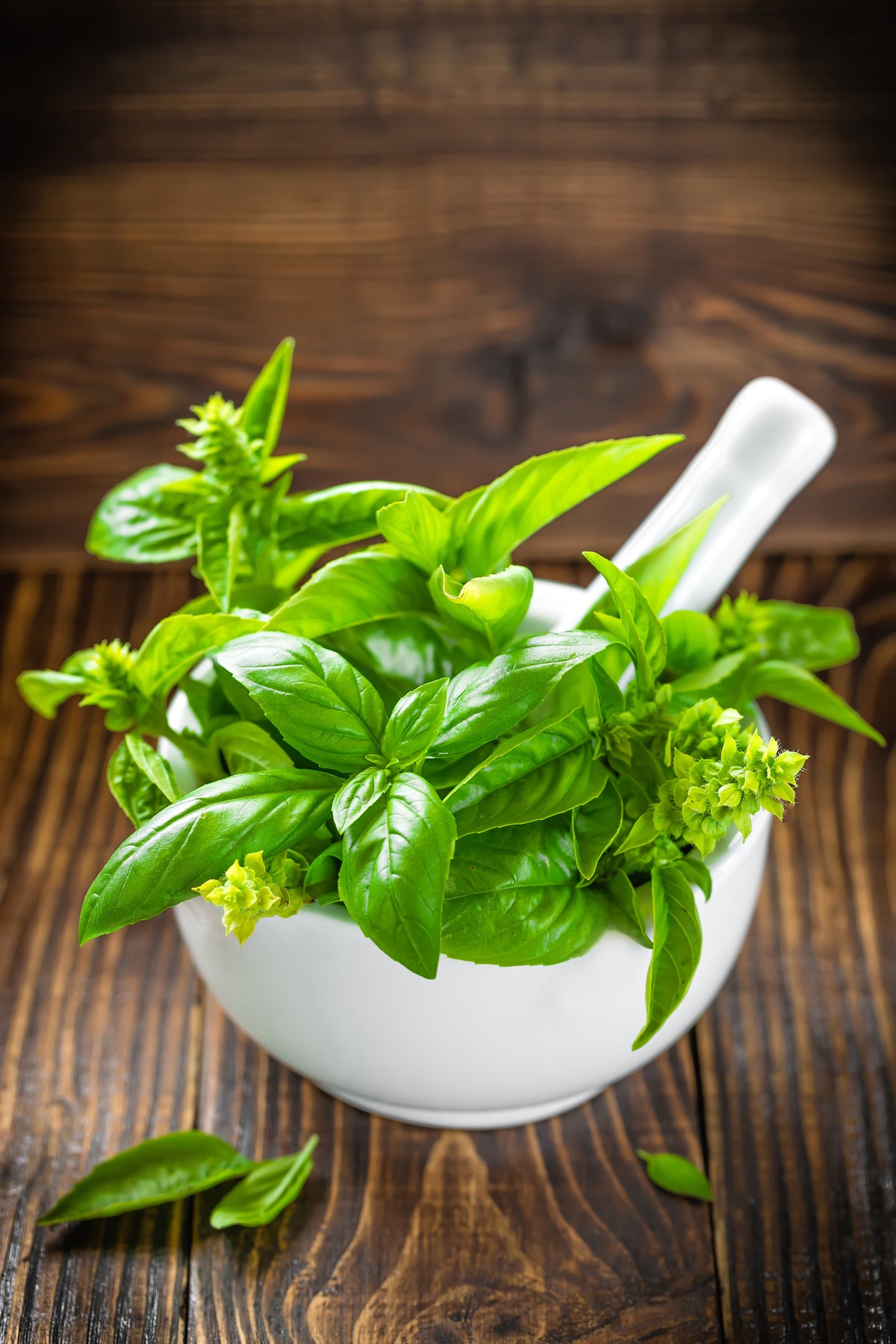 aluminium-print-fresh-basil