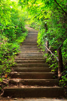 aluminium-print-wood-stairs
