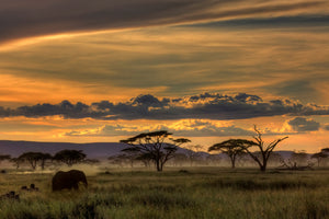 framedposter-print-africa-x
