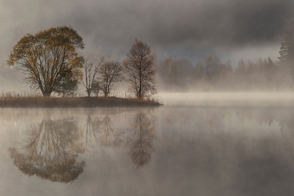 3-piece-aluminium-print-october-morning