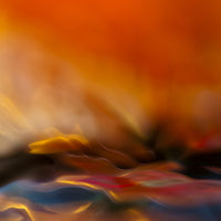 4-piece-acrylic-print-red-fantasy