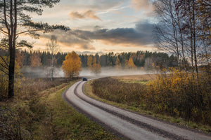 poster-print-drive-in-autumn-colors-x