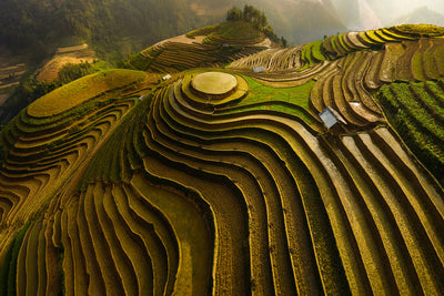 poster-print-mu-cang-chai-vietnam-x