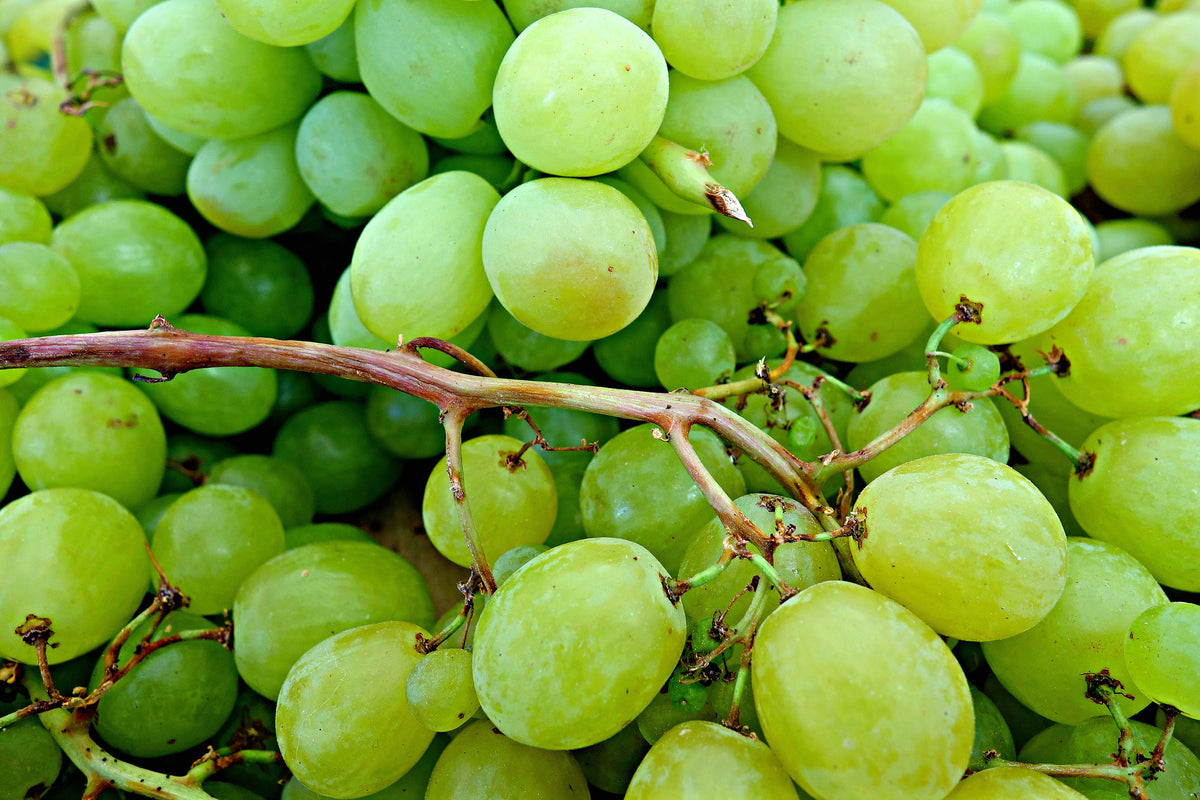 aluminium-print-green-grapes