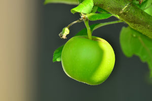 3-piece-acrylic-print-green-apple