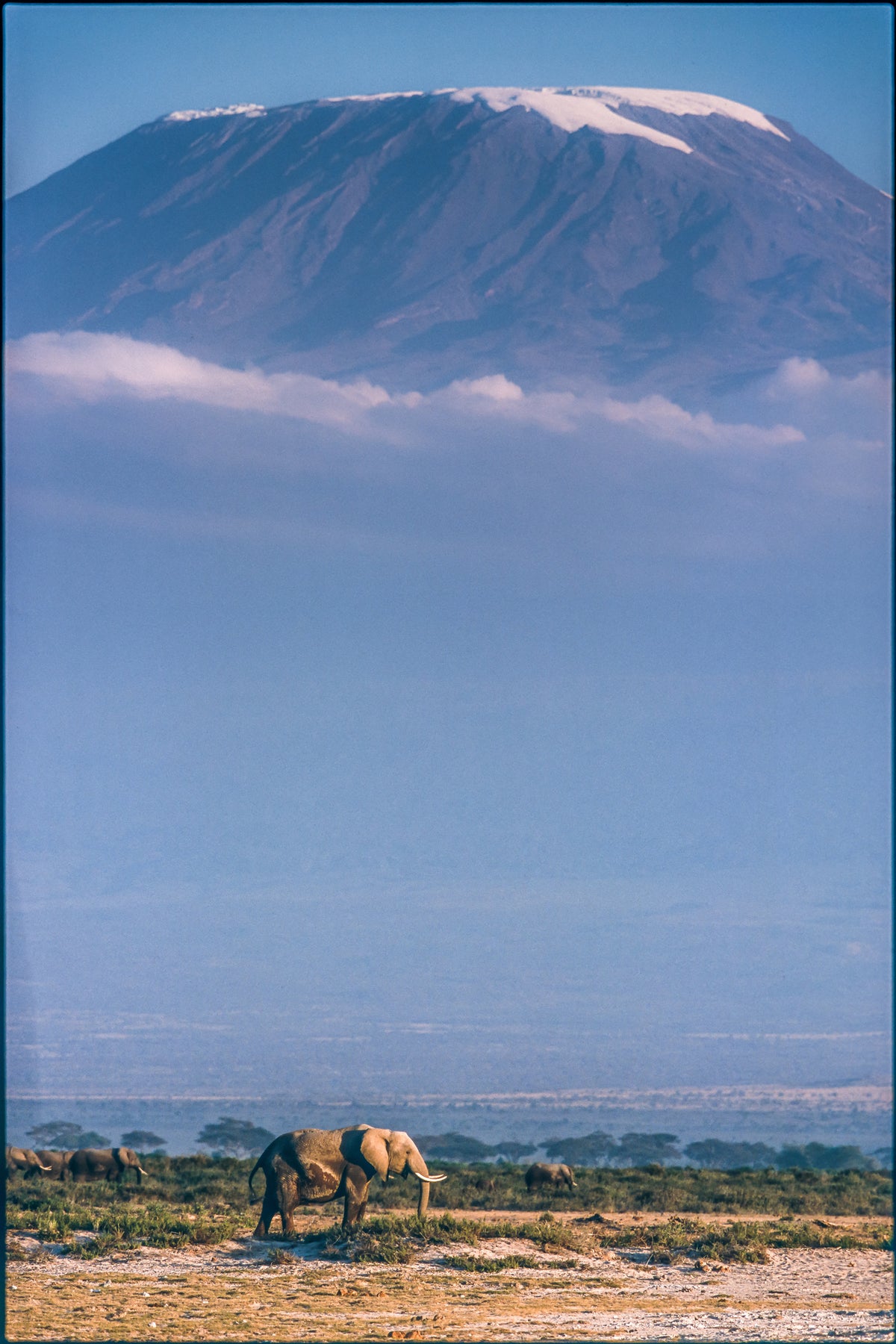 framedposter-print-kilimanjaro-and-the-quiet-sentinels