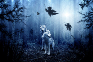 canvas-print-wolf39s-couple