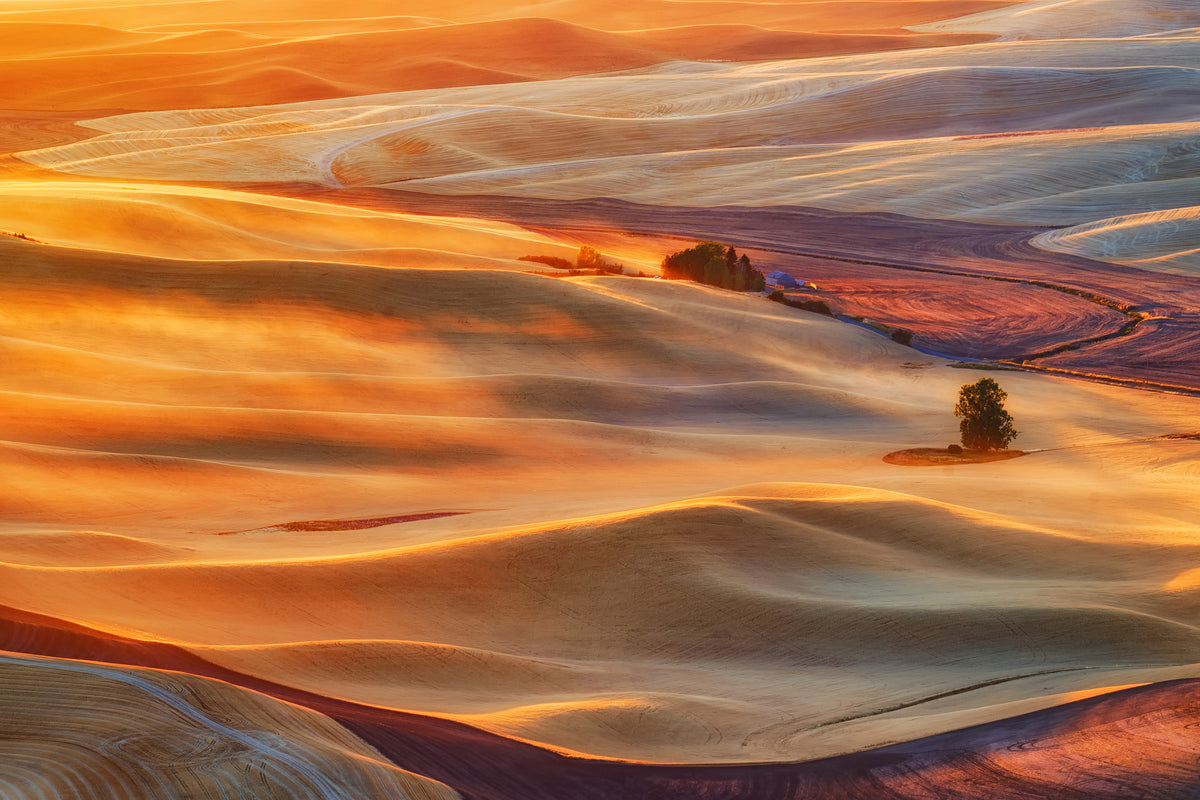 acrylic-print-golden-palouse-x
