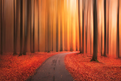 poster-print-path-to-unknown