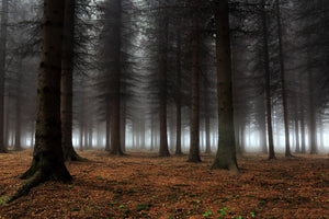 acrylic-print-place-of-silence-x