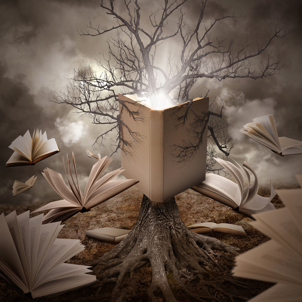 aluminium-print-old-tree-reading-story-book-x