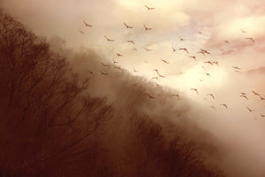 modern-3-piece-canvas-print-departure