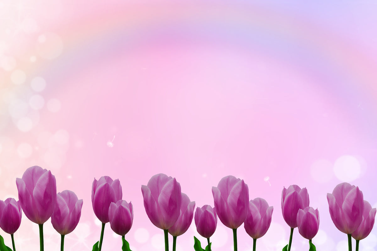 acrylic-print-sweet-tulips