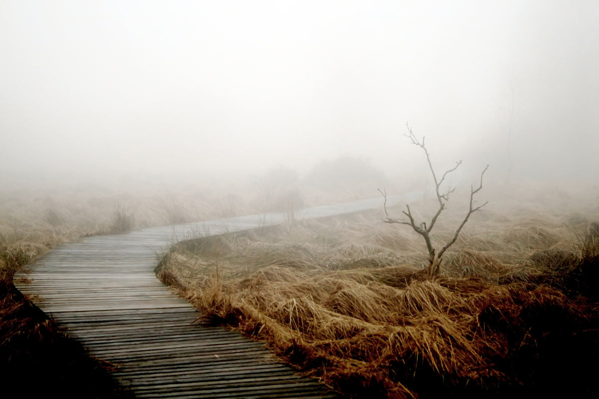 3-piece-aluminium-print-dense-fog