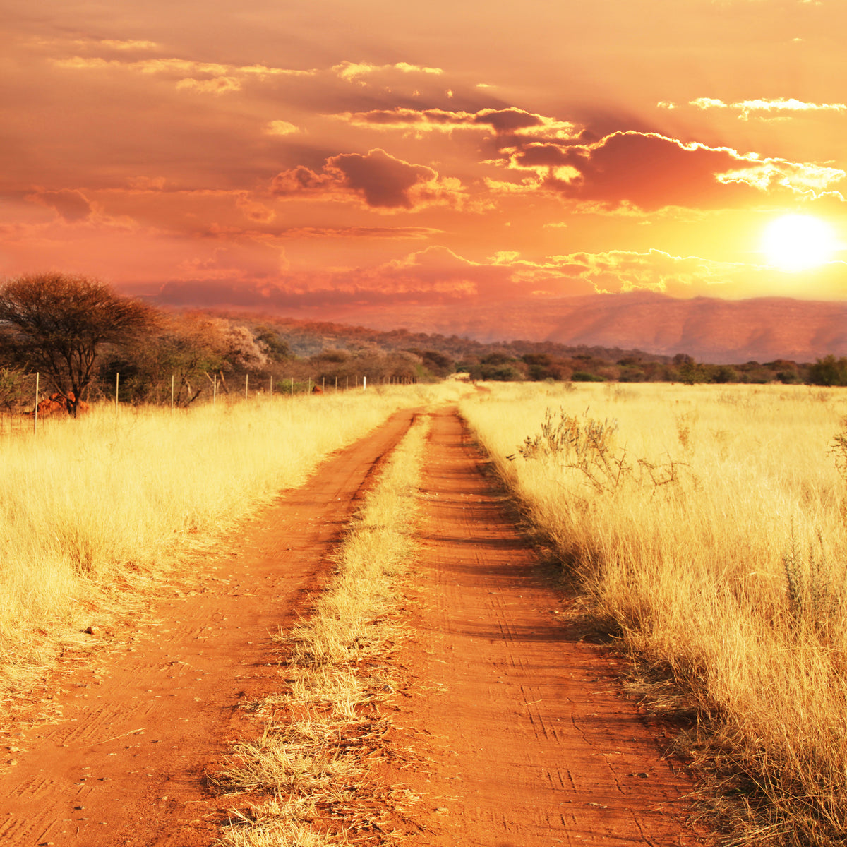 4-piece-acrylic-print-dusk-in-kenya