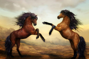 aluminium-print-two-wild-horses