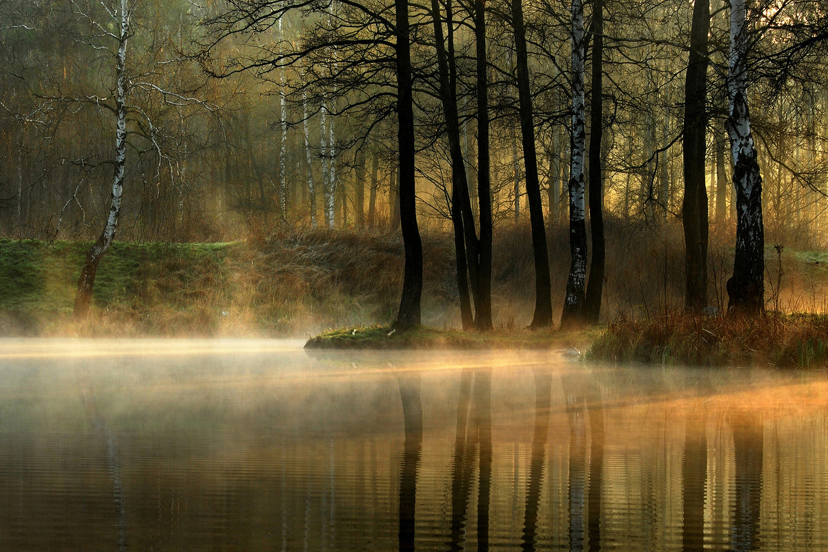 framedposter-print-silent-light-x