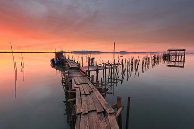 poster-print-the-last-light