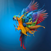 acrylic-print-flying-colours