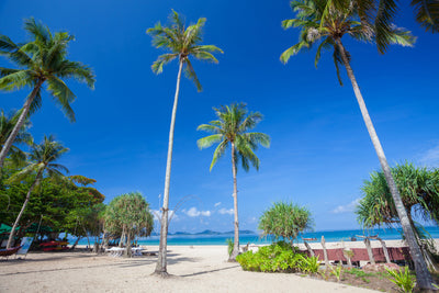 poster-print-summer-sun-beach