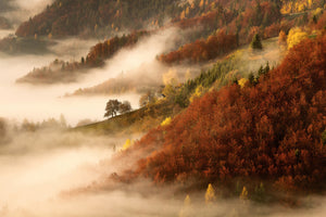 acrylic-print-novembers-fog-x