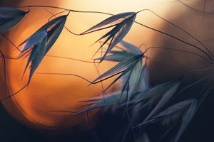 3-piece-canvas-print-sunset-p