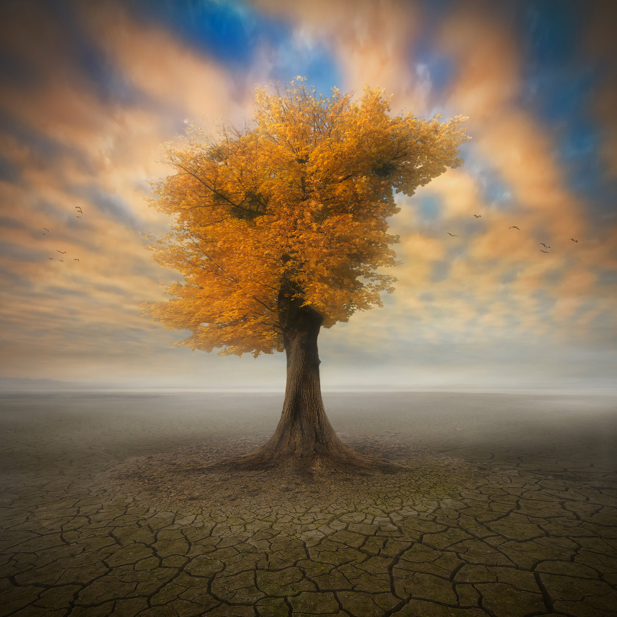 poster-print-lonesome