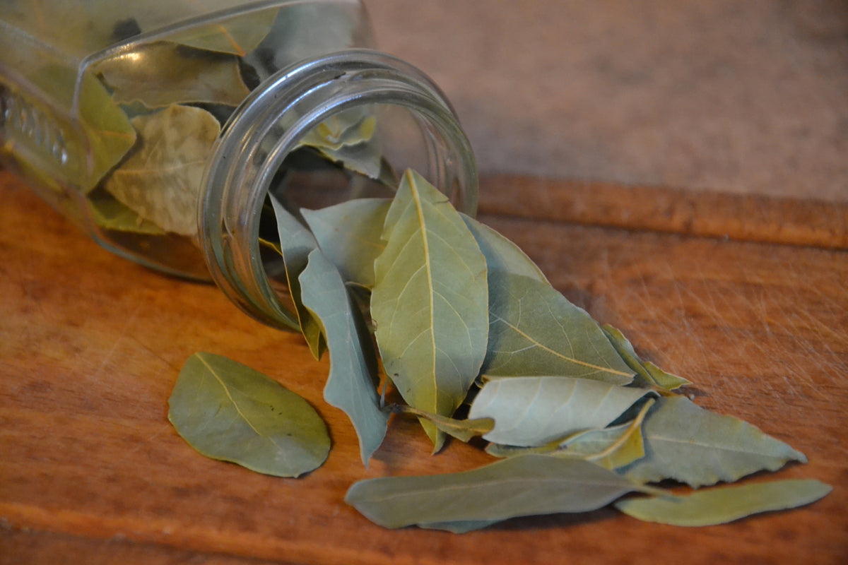 aluminium-print-bay-leaves
