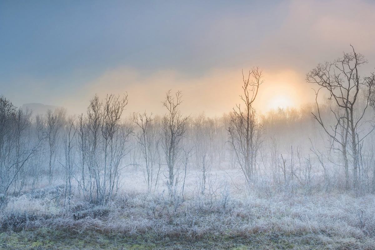 framedposter-print-a-touch-of-winter