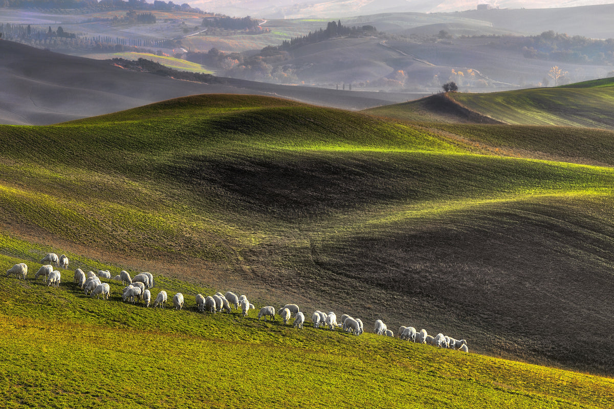 aluminium-print-pastoral-x