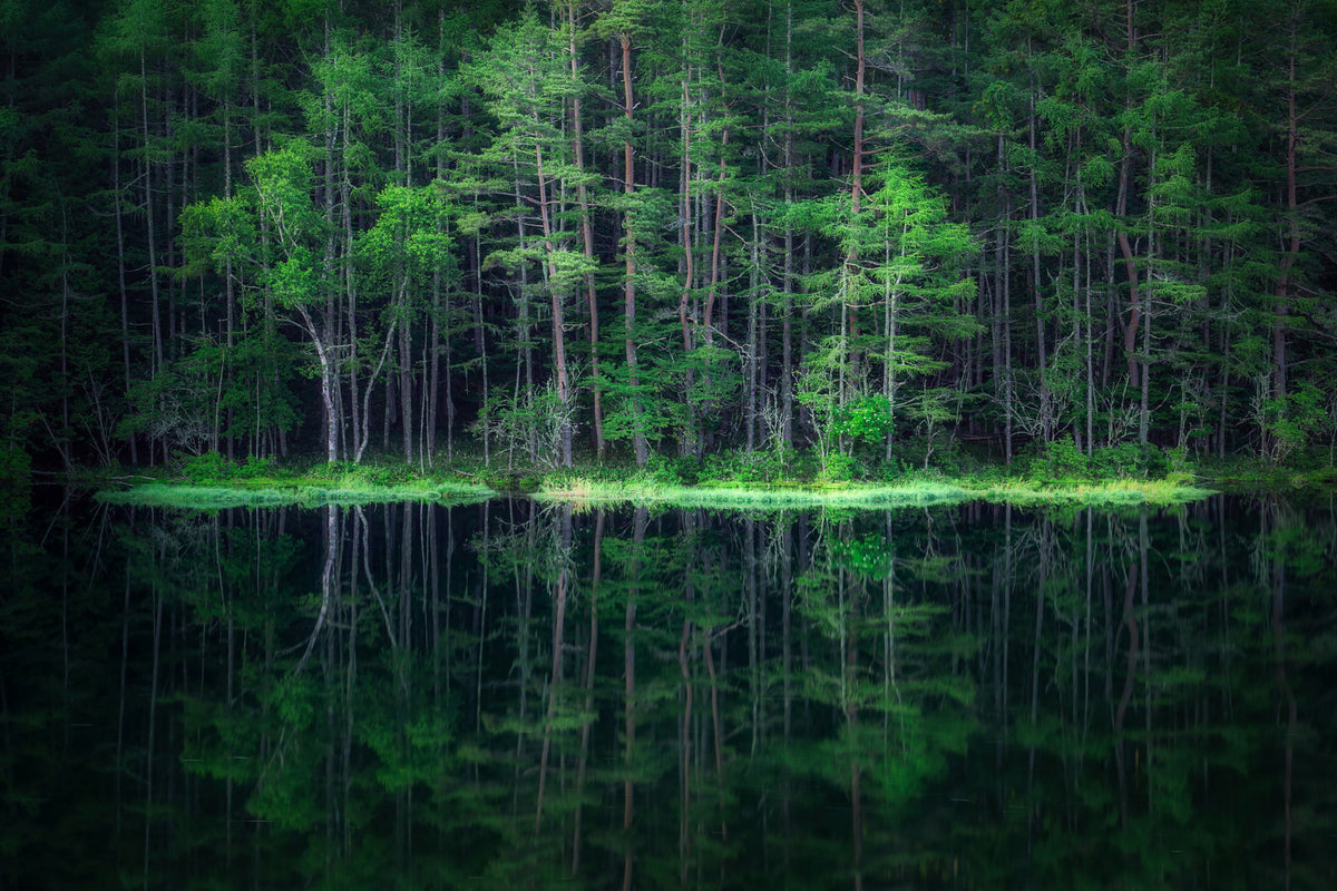 framedposter-print-green-world-x