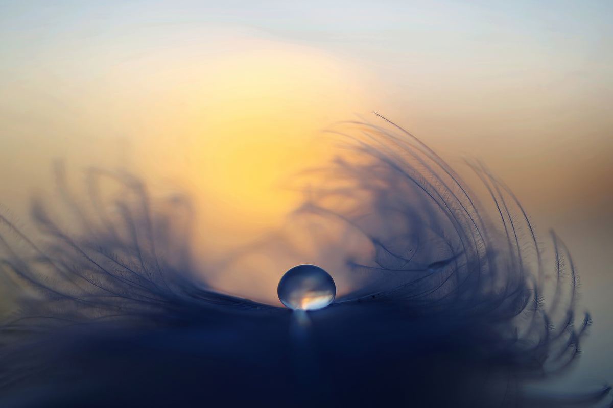 poster-print-morning-ii