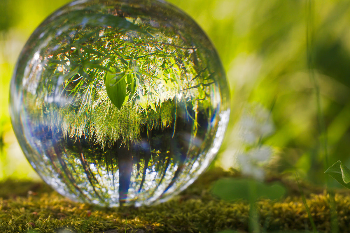 3-piece-canvas-print-nature-ball