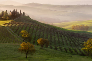 poster-print-tutte-le-strade-portano-a-belvedere