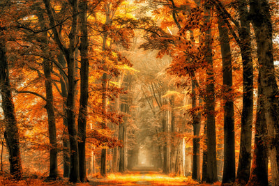 poster-print-exit-the-portal